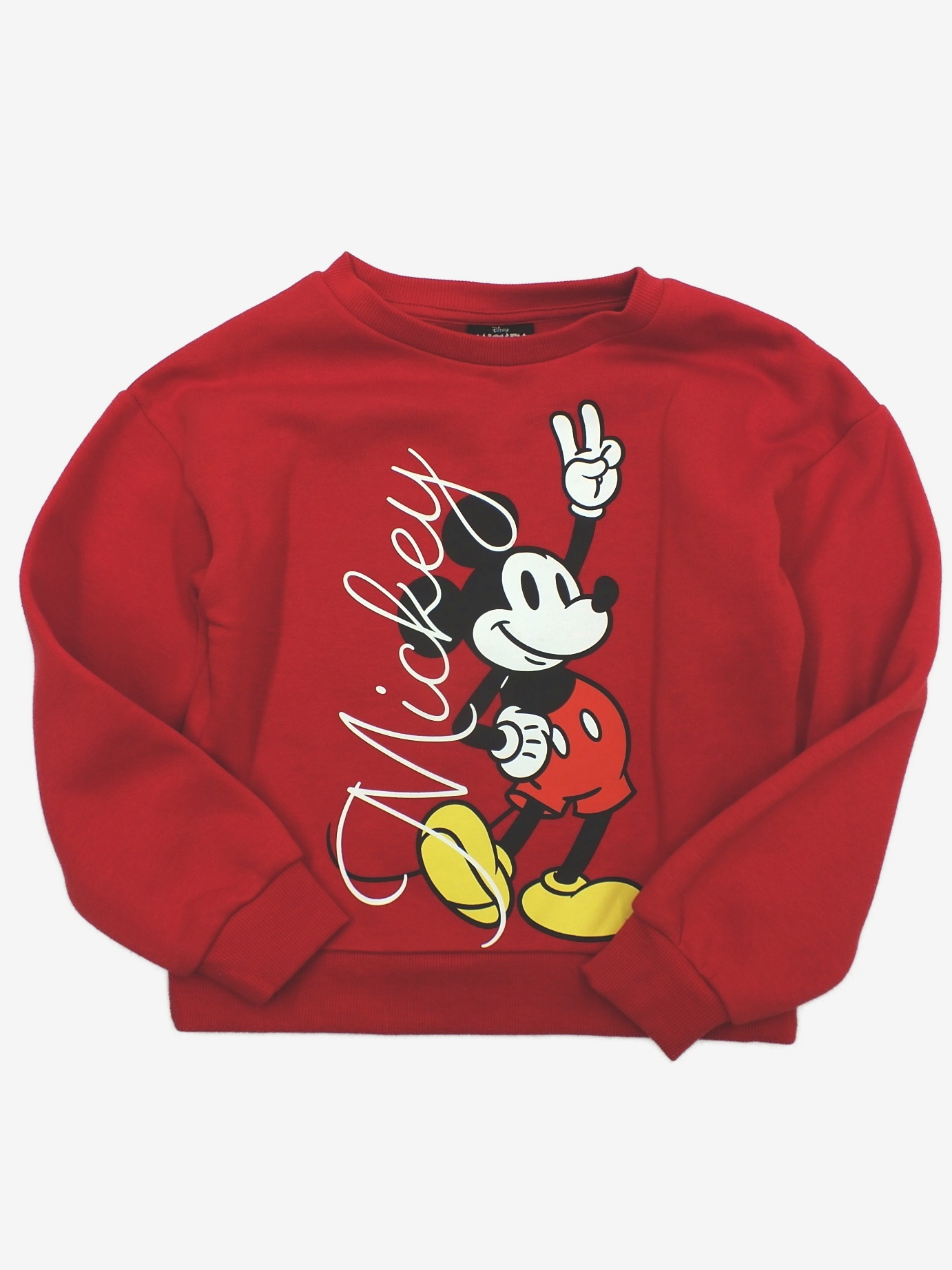 N-10575896.jpg Mikina Disney - Obrázek 1