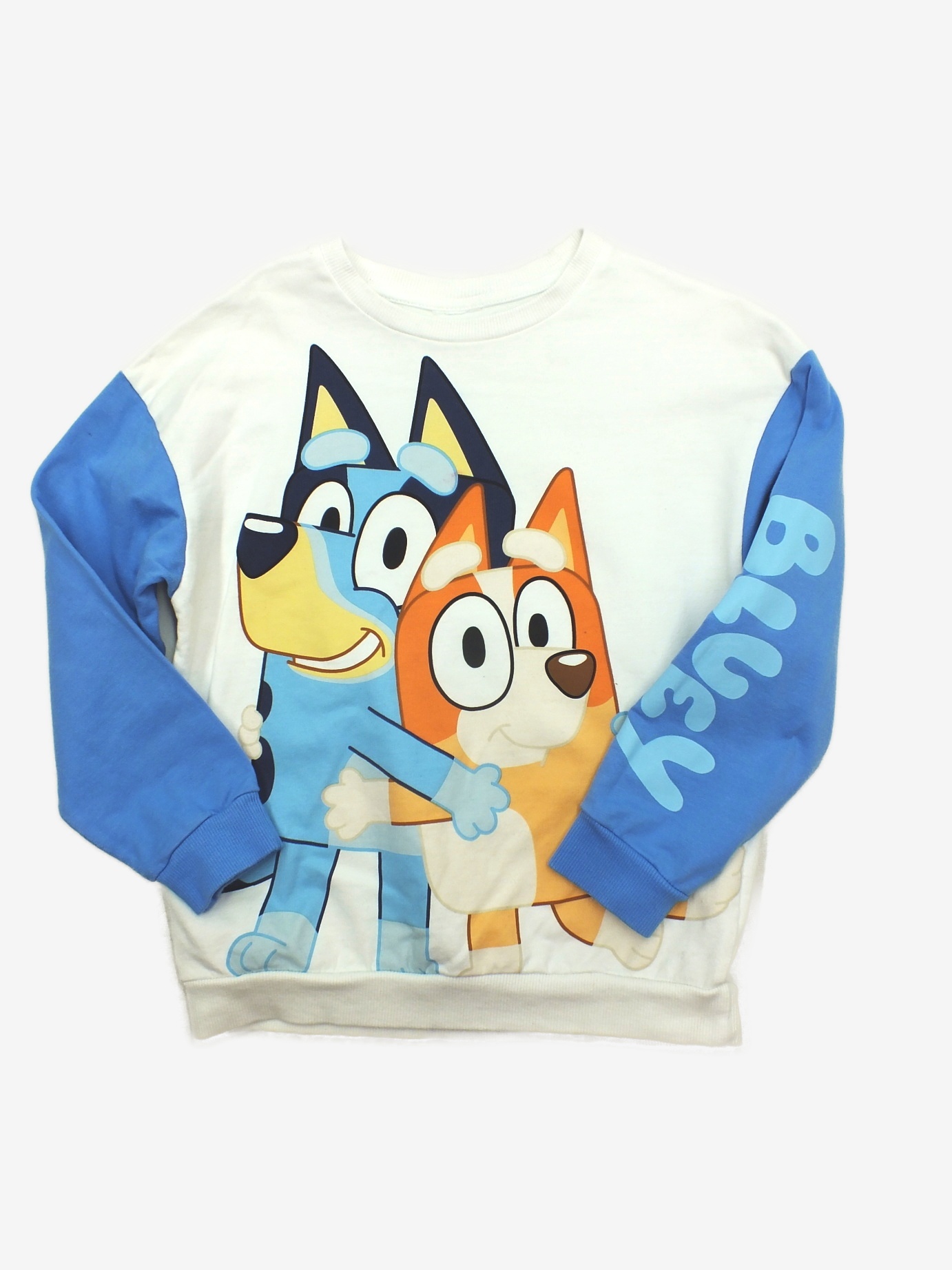 N-10577691.jpg Mikina Bluey - Obrázek 1