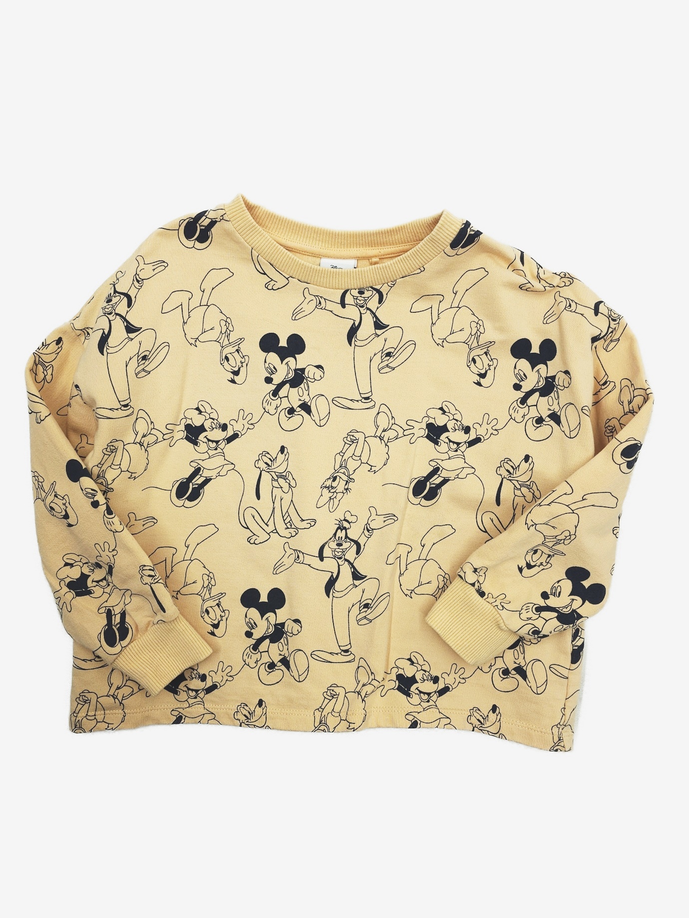 N-10577848.jpg Mikina Disney - Obrázek 1